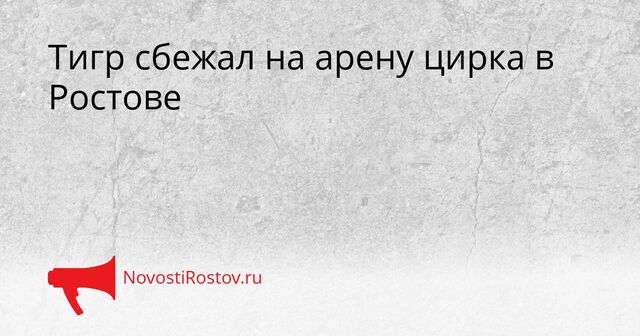 Тигр сбежал на арену цирка в Ростове - NovostiRostov, 20.04.2026