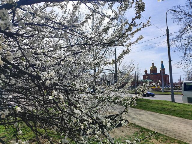 Ветер и дождь прогнозируют 17 марта в Краснодарском крае, потеплеет до 24° -  Утренний Юг, 16.03.2025