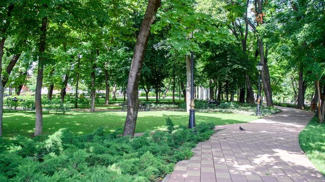 Вишняковский сквер и парк «Сосновый» в Краснодаре стали природоохранными зонами -  Утренний Юг, 26.06.2025
