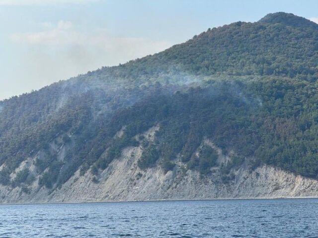 Площадь пожара в Геленджике увеличилась до 42,4 га -  Утренний Юг, 29.08.2025