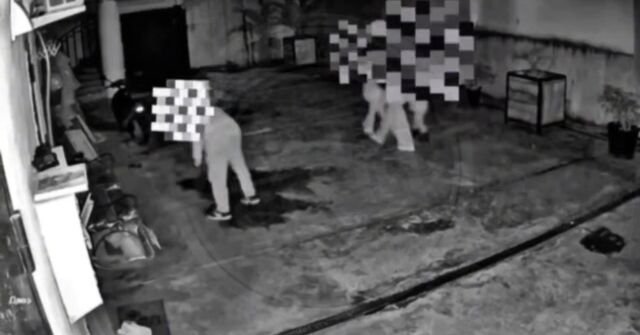 Неизвестный избил ногами пожилого пса за лай в Сочи -  Утренний Юг, 22.02.2026