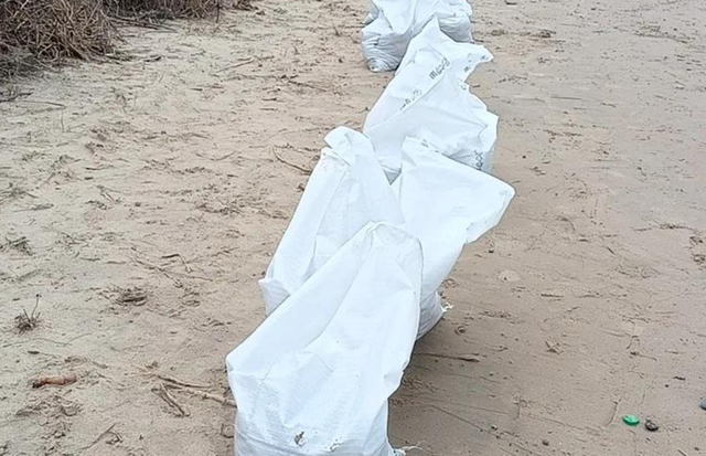 Волонтеры собрали 300 мешков пальмового масла на побережье Темрюкского района -  Утренний Юг, 28.02.2026