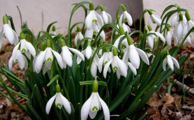 1 марта на Кубани будет без осадков, плюсовая температура и ночные туманы -  Утренний Юг, 28.02.2026