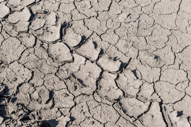 Сейсмолог предупредила о возможном сильном землетрясении в Сочи -  Утренний Юг, 07.03.2026