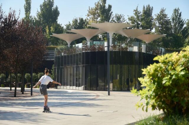 На Кубани в семь раз сократилось открытие заведений общепита -  Утренний Юг, 23.03.2026