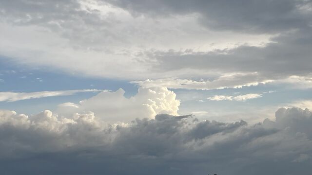 На Кубани 26 марта местами небольшой дождь, температура поднимется до +16° -  Утренний Юг, 25.03.2026