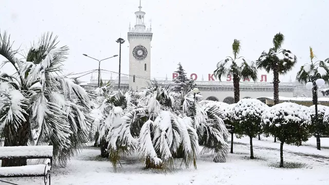Сочи принял почти 2 млн туристов в зимний сезон 2026 года -  Утренний Юг, 18.04.2026