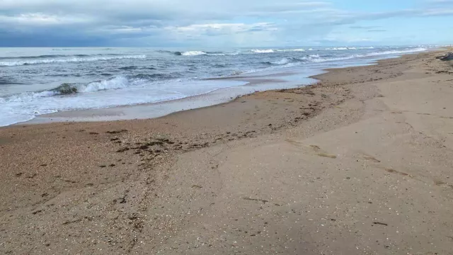В Анапе начали отсыпку песка для восстановления пляжей -  Утренний Юг, 22.04.2026
