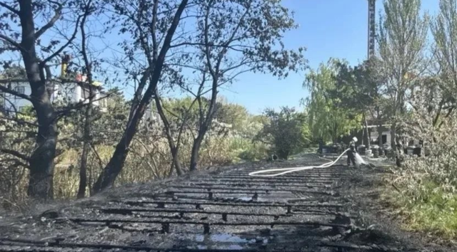 Спасатели ликвидировали возгорание в парке «Джунгли» в Анапе -  Утренний Юг, 09.05.2026