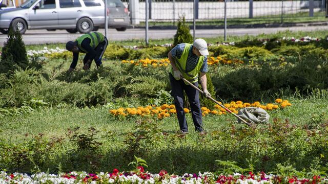 Новую общественную территорию создадут в Краснодаре рядом с авиаучилищем -  Утренний Юг, 22.05.2026