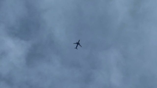 «Аэрофлот» возобновил прямые авиарейсы из Краснодара в Дубай -  Утренний Юг, 25.07.2026