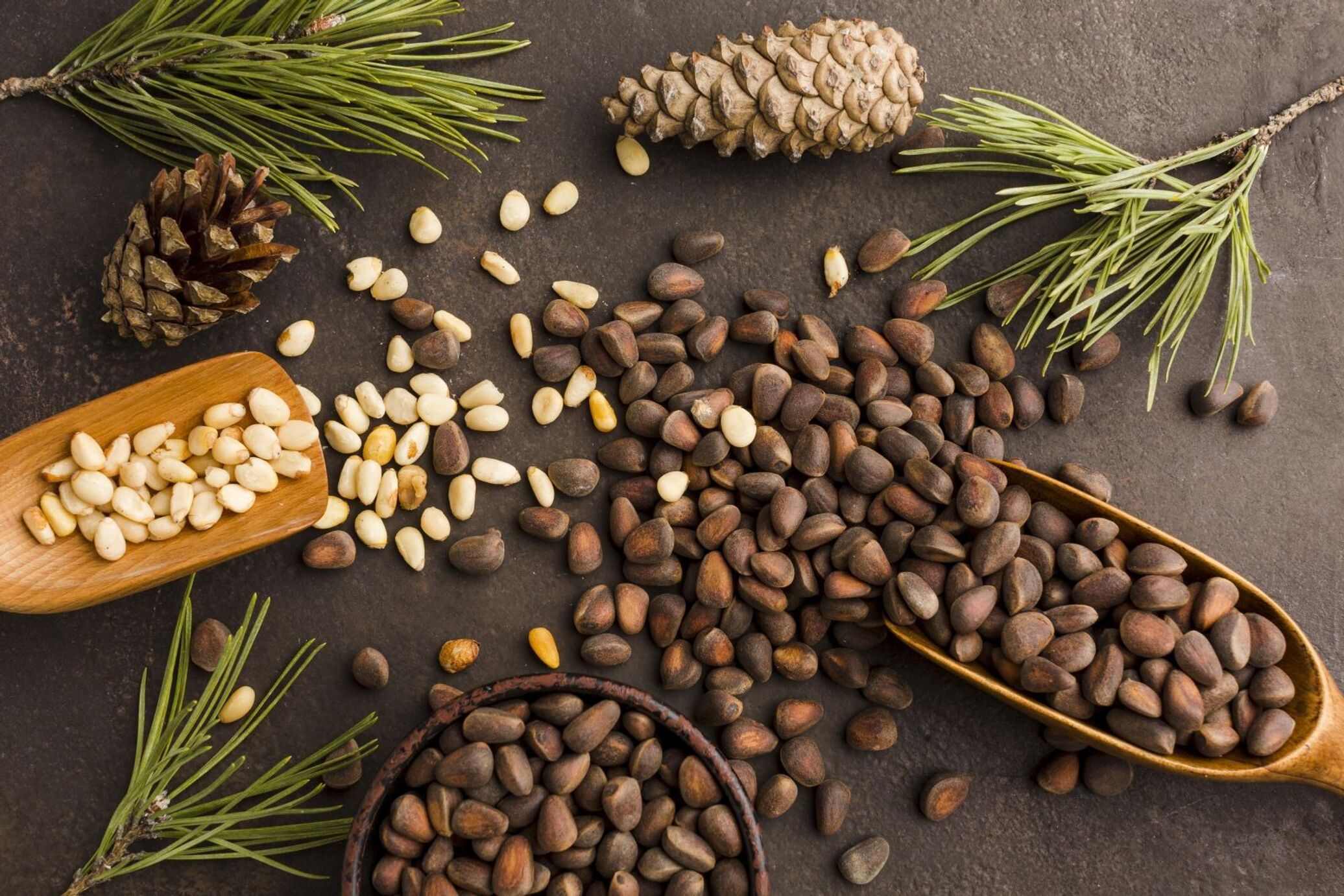 Кедровые Орехи Купить В Барнауле