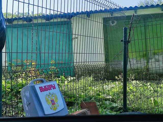Легендарные судовые участки снова бьют рекорды на выборах в Приморье - ИА DEITA.RU, 09.09.2023