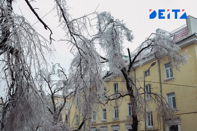 Снег в Приморье пойдет на убыль - ИА DEITA.RU, 28.11.2023