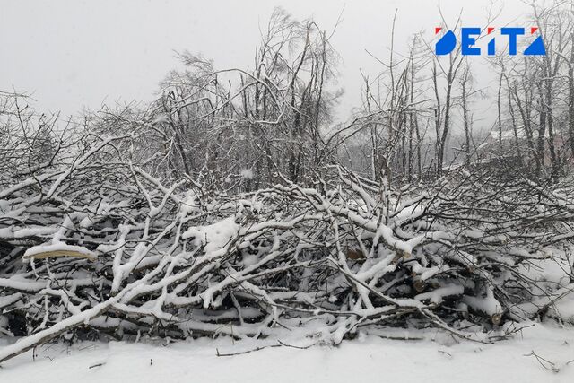 Сколько сейчас в приморье. Владивосток центр города. Владивосток порт панорама. Владивосток столица приморского края. Сколько сейчас в приморье.