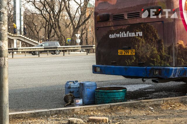 Четыре пассажирских автобуса пострадали в двух ДТП во Владивостоке за полдня - ИА DEITA.RU, 27.12.2024