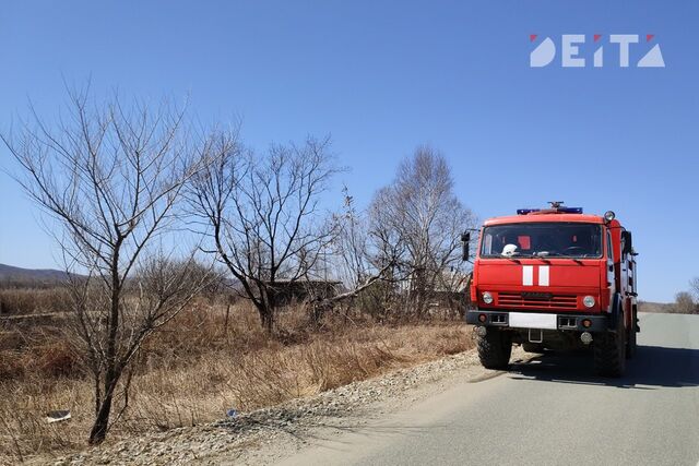 10 человек погибло на пожарах с начала года в Приморье - ИА DEITA.RU, 06.01.2025