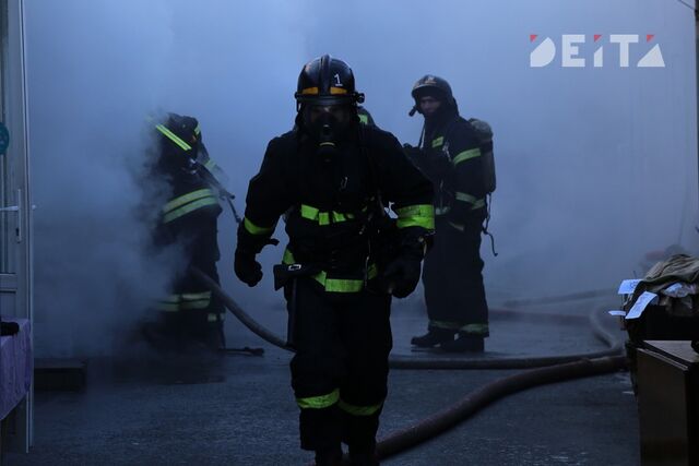 Стихийная свалка загорелась в Приморье - ИА DEITA.RU, 14.03.2025