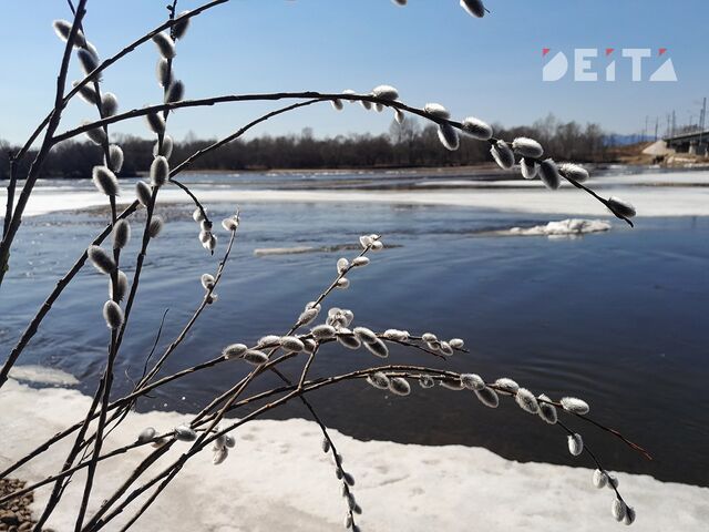 Температура ниже климатической нормы установится в Приморье - ИА DEITA.RU, 14.03.2025