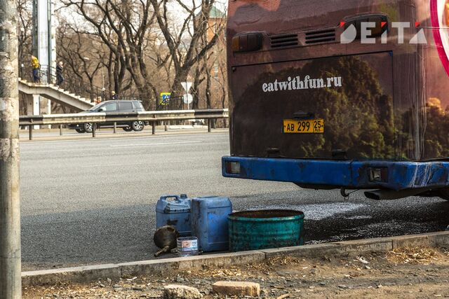 Дымящийся автобус в Приморье возмутил пассажирку и прокуратуру - ИА DEITA.RU, 20.05.2025