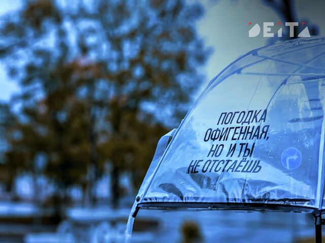 Пять дней дождей обещают Приморью - ИА DEITA.RU, 23.05.2025
