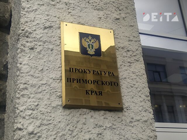 В прокуратуре рассказали о принятых мерах после несчастного случая на аттракционе во Владивостоке - ИА DEITA.RU, 30.06.2025