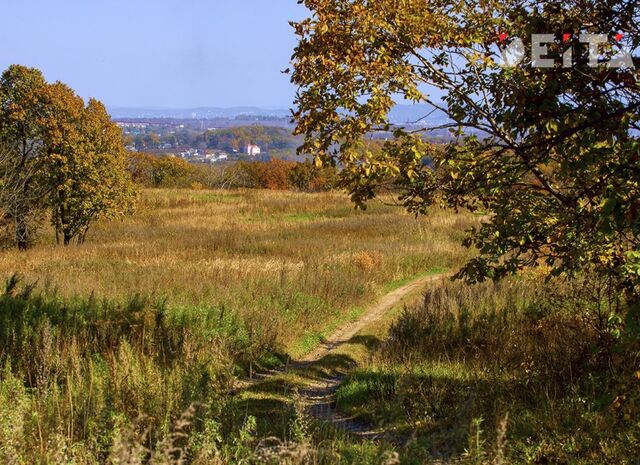 Прокуратура Приморья вернула городу участок, купленный за 12 тысяч рублей при реальной стоимости в 22 миллиона - ИА DEITA.RU, 17.09.2025