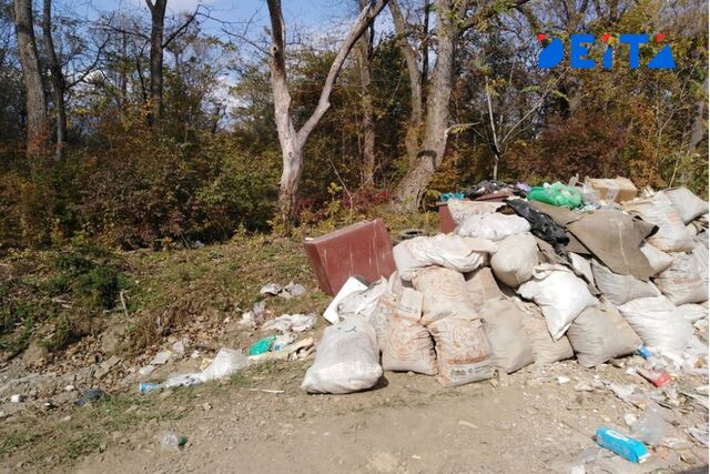 Свалка в Приморье, ликвидированная по решению суда, возродилась на том же месте - ИА DEITA.RU, 16.10.2025