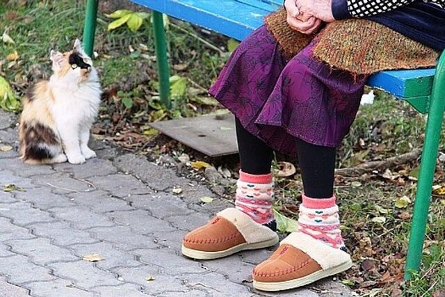 Российских бабушек могут оштрафовать - ИА DEITA.RU, 22.10.2025