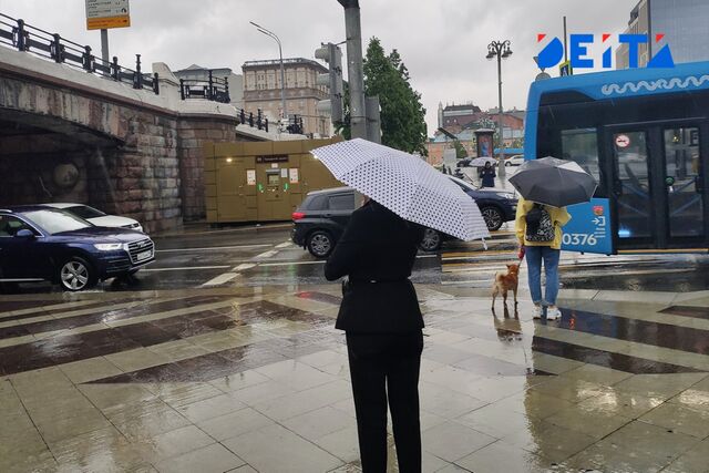 В Приморье ожидается потепление и осадки в выходные В Приморье ожидается потепление и осадки в выходные - ИА DEITA.RU, 25.10.2025