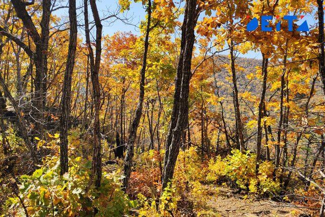 В Приморье ожидается потепление без осадков - ИА DEITA.RU, 29.10.2025