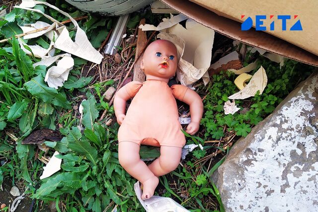 До судорог и комы избила пятимесячную дочь жительница Приморья - ИА DEITA.RU, 30.10.2025