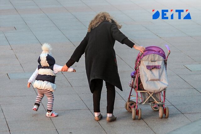 Поддержать родителей в декрете предложили в Госдуме - ИА DEITA.RU, 03.11.2025