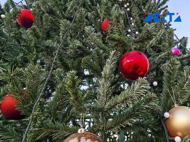 Две недели праздника: как россияне будут отдыхать на Новогодних каникулах Две недели праздника: как россияне будут отдыхать на Новогодних каникулах - ИА DEITA.RU, 06.11.2025