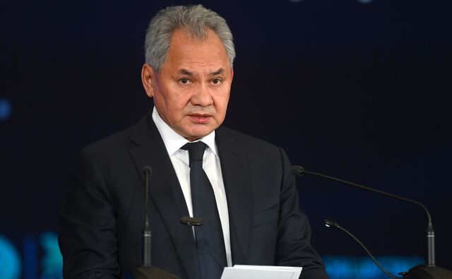 Шойгу требует «сибиризации» экономики России - ИА DEITA.RU, 07.11.2025