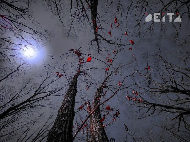 Начало недели в Приморье пройдет без резких погодных изменений - ИА DEITA.RU, 09.11.2025