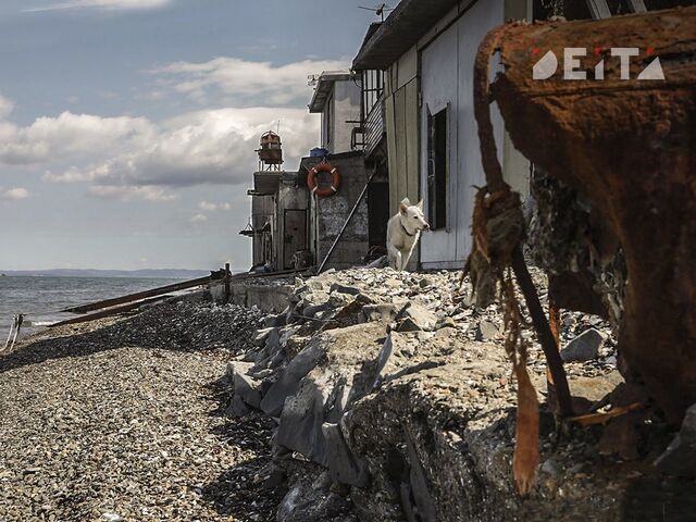 Нефильтрованные стоки с очистных сооружений Владивостока загаживают море и набережную Нефильтрованные стоки с очистных сооружений Владивостока загаживают море и набережную - ИА DEITA.RU, 15.11.2025