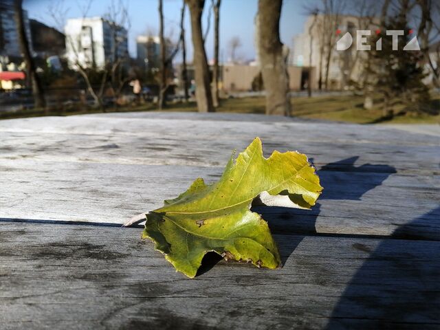 Тёплые выходные ожидаются в Приморье - ИА DEITA.RU, 19.11.2025