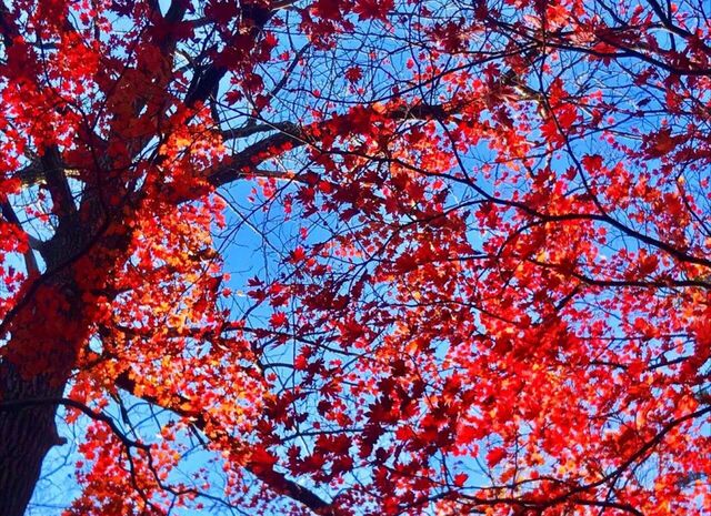 Смена ветра принесет теплую погоду во Владивосток Смена ветра принесет теплую погоду во Владивосток - ИА DEITA.RU, 19.11.2025