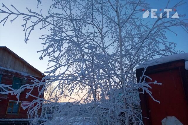 Неглобальное потепление: на Крайнем Севере меняется структура вечной мерзлоты - ИА DEITA.RU, 21.02.2026