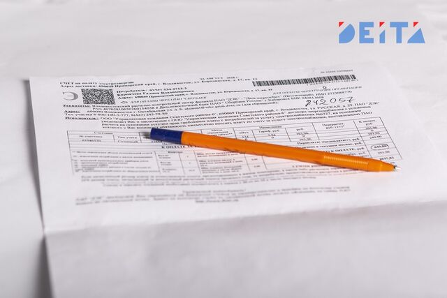 В Госдуме озвучили, лишат дли россиян бумажных квитанций - ИА DEITA.RU, 21.02.2026