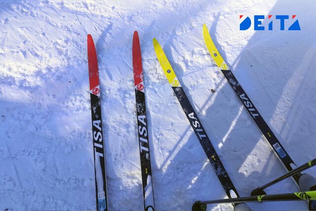Собака раздора: Дальний Восток удивил лыжников - ИА DEITA.RU, 08.03.2026