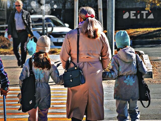 Минтруд обновил правила назначения единого пособия для многодетных - ИА DEITA.RU, 15.03.2026