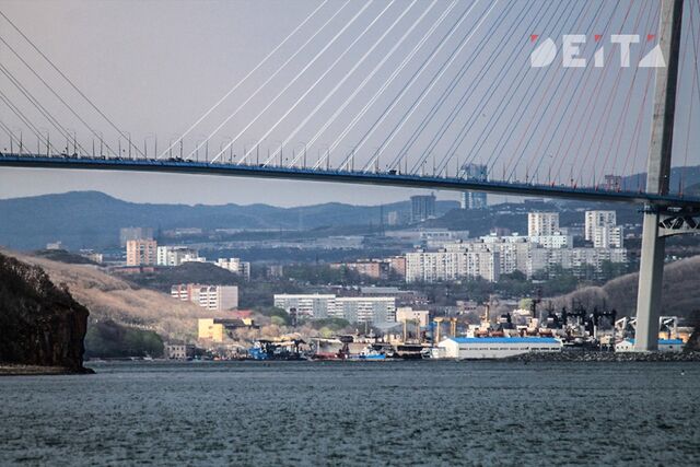 Реверсивное движение ввели на участке Университетского проспекта на острове Русский - ИА DEITA.RU, 21.03.2026