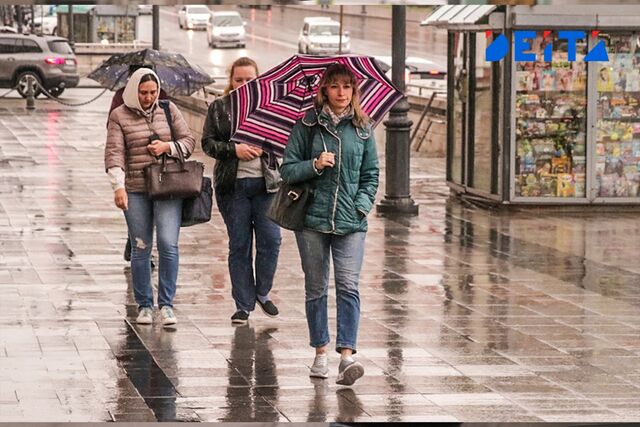 Серия дождей накроет Приморье в последние дни марта - ИА DEITA.RU, 27.03.2026