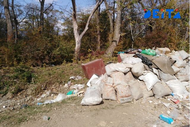 В правительстве Приморья взялись за проблему загаженных пляжей - ИА DEITA.RU, 31.03.2026