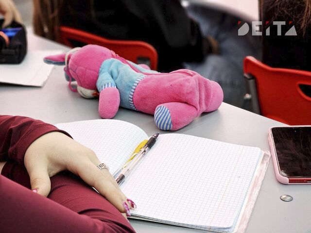 Родители дошкольников во Владивостоке могут записать ребёнка в первый класс онлайн - ИА DEITA.RU, 01.04.2026