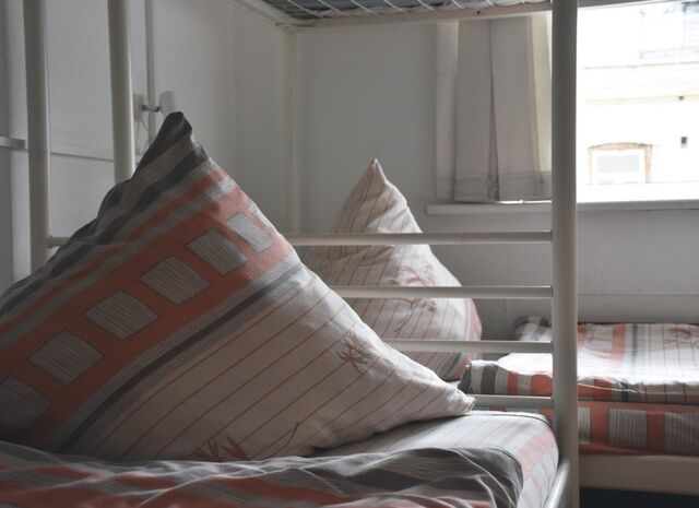 Прокуратура разбирается с крысами и тараканами в общежитии колледжа во Владивостоке - ИА DEITA.RU, 02.04.2026