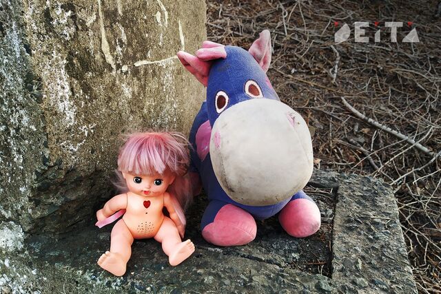 Жительницу Приморья будут судить за пьяный побег от малолетних детей - ИА DEITA.RU, 02.04.2026