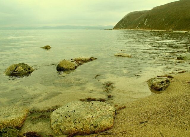 Прокуратура Приморья выясняет, по чьей вине погибла рыба в городском озере - ИА DEITA.RU, 03.04.2026